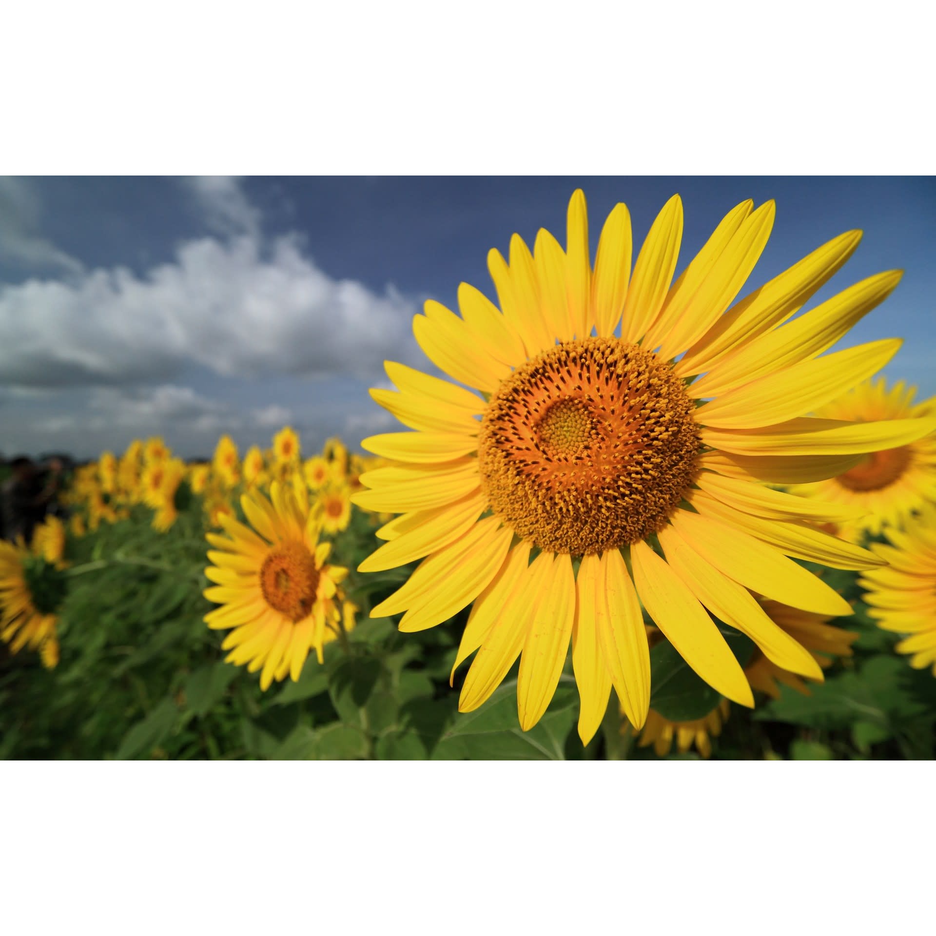 Lepton スタッフblog ロンドスクールmax成増 Rondo Sports Web