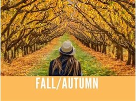 秋は英語で何という スタッフblog ロンドスクールmax成増 Rondo Sports Web