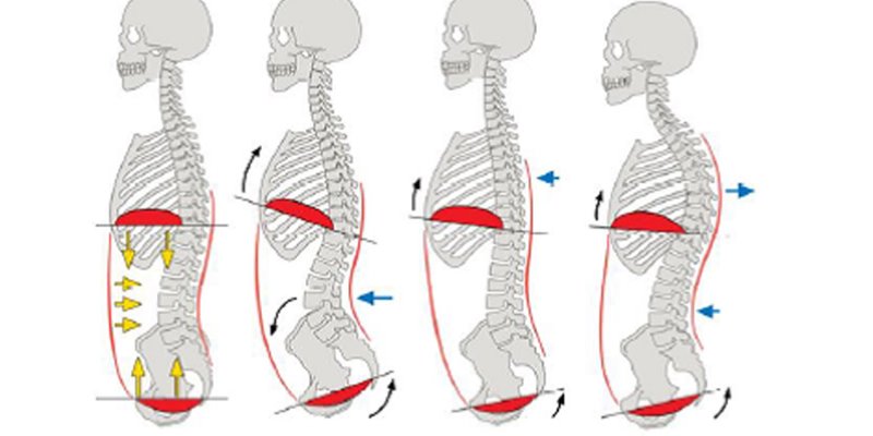 呼吸はトレーニング スタッフBlog｜ロンドフィットネスクラブ東村山 RONDO SPORTS web